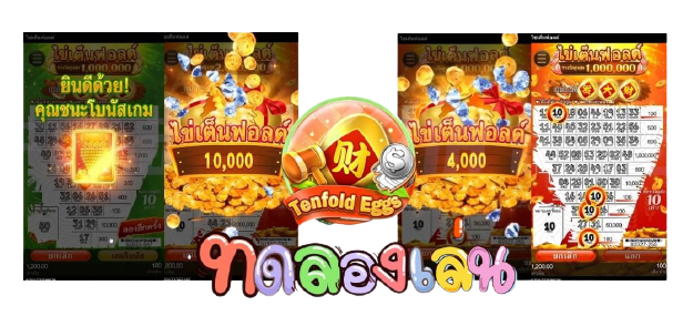 ไข่เต็นฟอลด์ ทดลองเล่น